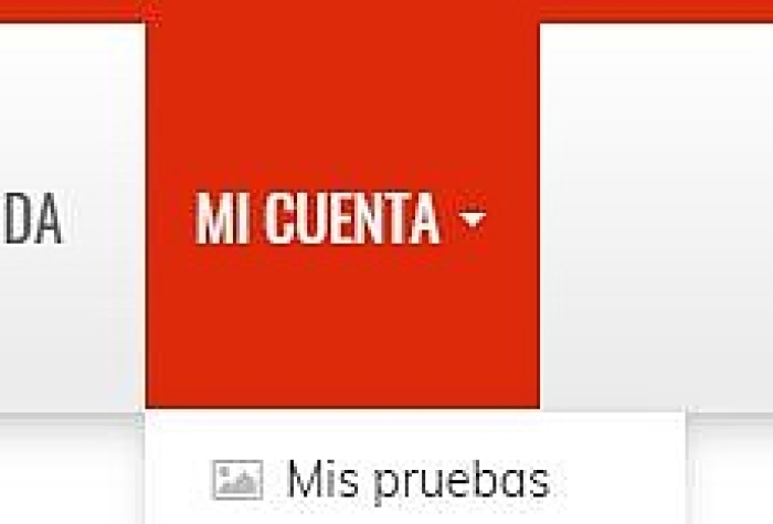 ¿Cómo descargo mis fotos?, General